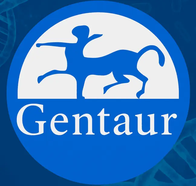 Noradrenaline (Urine) RIA - 100 Determinations