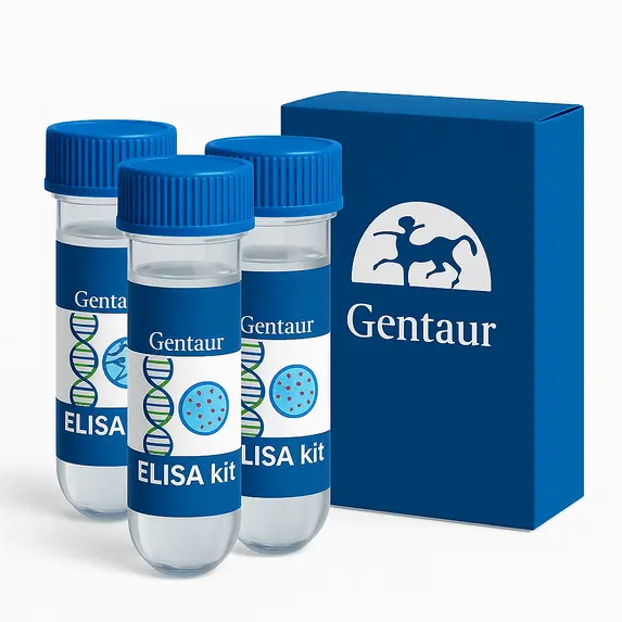 VCAM-1 (Mouse) ELISA - 96 Determinations