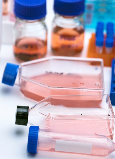 [GEN - CSI166Ra01-500k] Primary LMC Cell, Rat