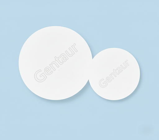 [CPP14245] PP Disc Membrane Filter Pore Size:0.45μm Diameter:142mm
