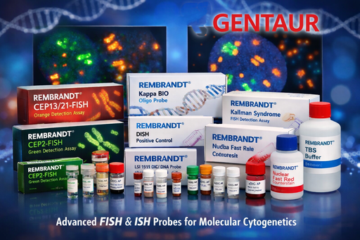 [C711P.0100.05] REMBRANDT® CEP11-ISH probe mix biotin