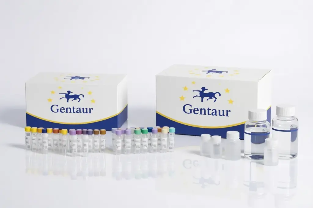 [FR561-sf] Streptococcus sobrinus