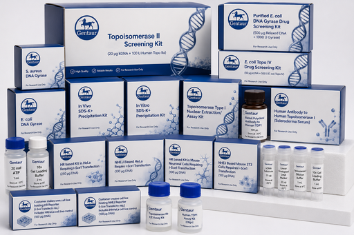 [DR3050-3] HR Pooled Cell analysis:  500ug DR-HRGFP, 500ug pSce1,25ug e-GFP Control